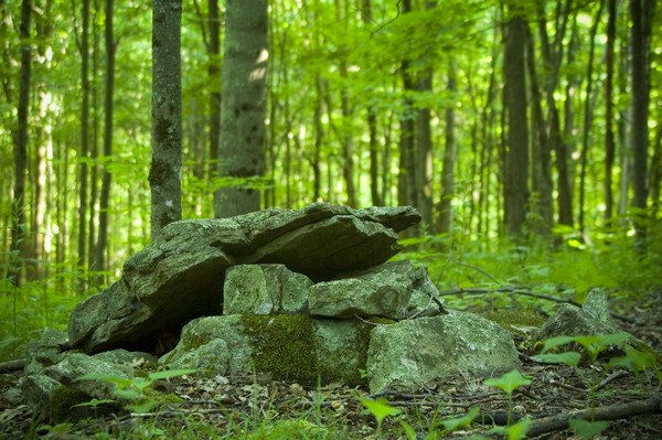 Rock Structure