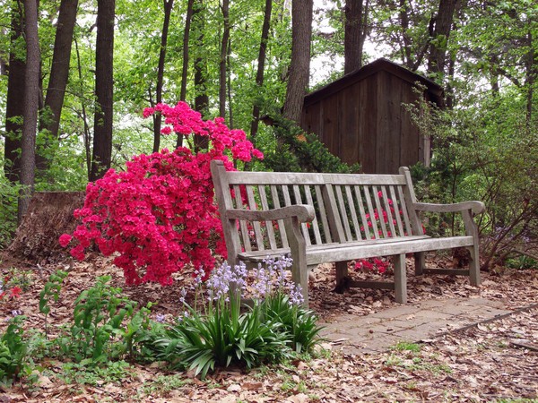 The Colors of Spring