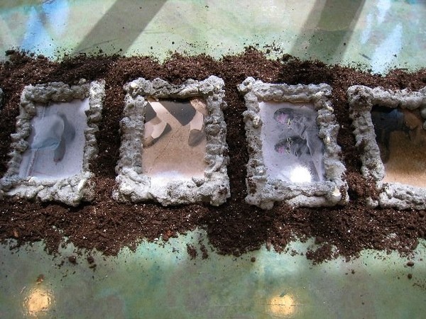 Stepping Stones