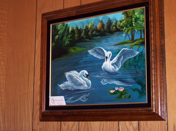 Evening Swans