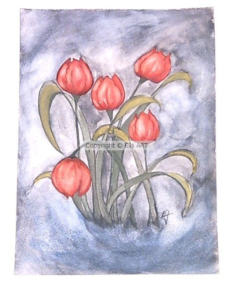TULIPS