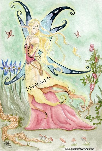 fairy wings