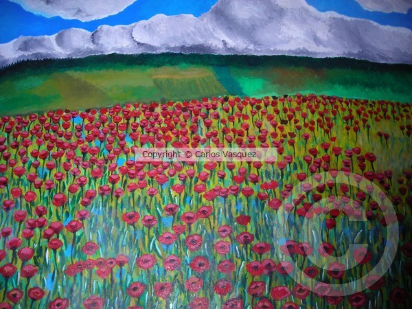 Maki and Habry flower field