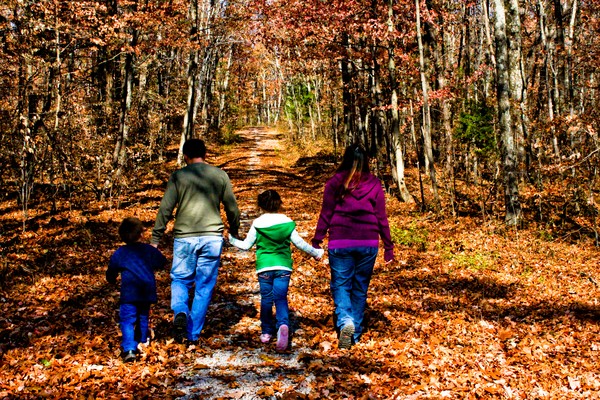 Family 