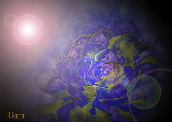 The light of life 