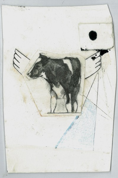 cow