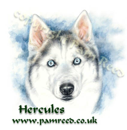 Hercules