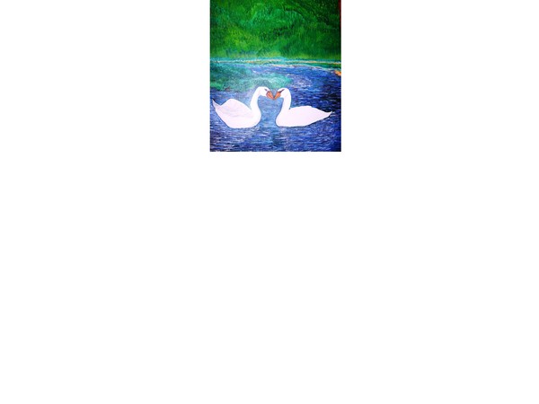 The full picture of the Swans