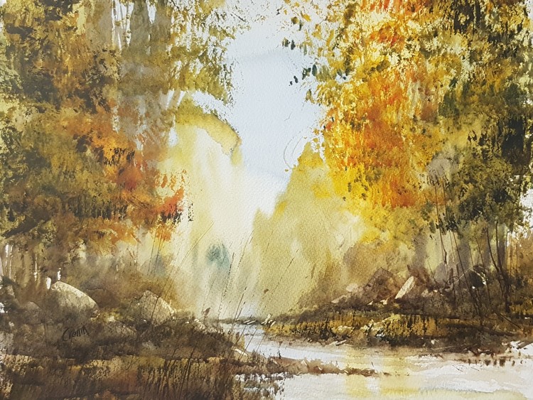 Forest River