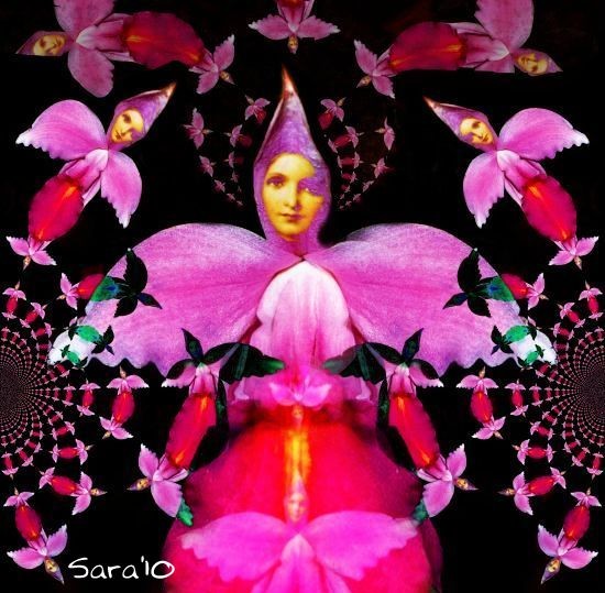 Orchid Devas