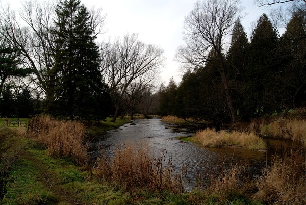 Lowville Creek
