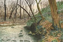 Lower Fishguard River