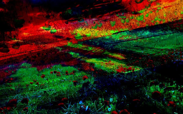 Landscape Flower Sunset Turn Impressionism