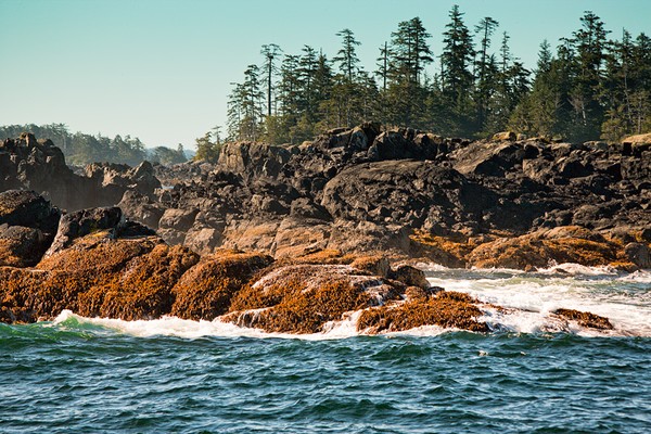 Rocky Shore