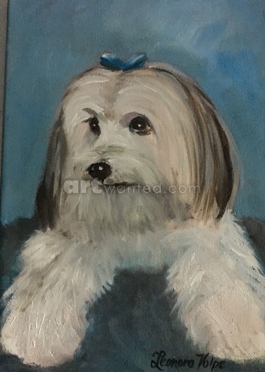Pet portraits