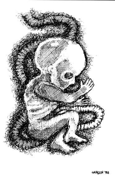 Embryo