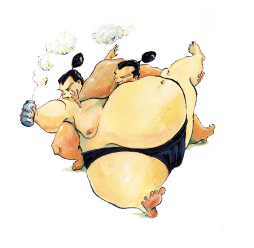 sumo wrestling 