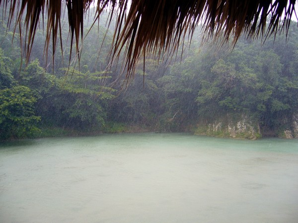Heavy Rain