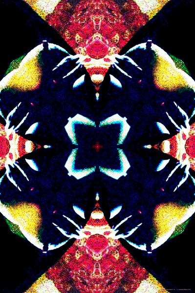 B1
