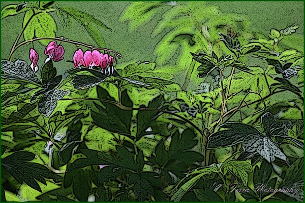 Bleeding Hearts Posterized