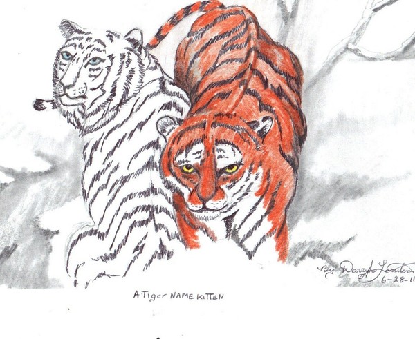 A Tiger name Kitten