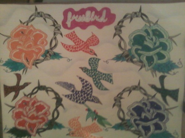 Free Birds by the Rooster (c) 2010