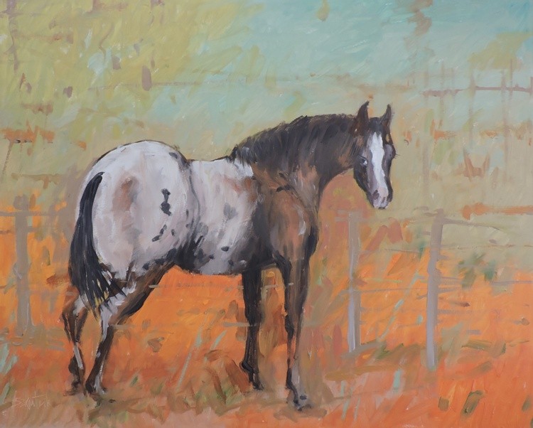 Horse sketch #2