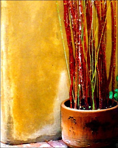 Clay Pot and Salt Cedar