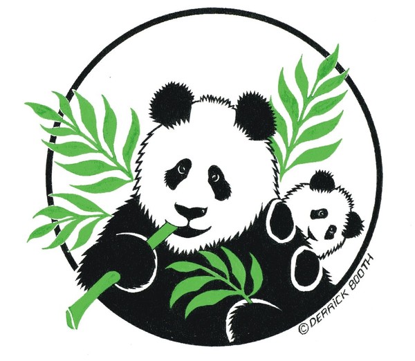 PANDA BEAR #1