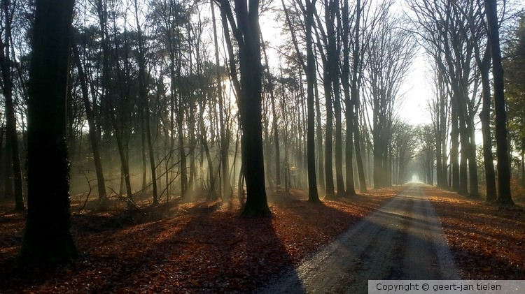 Winter Slangenburg