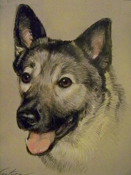 Kody