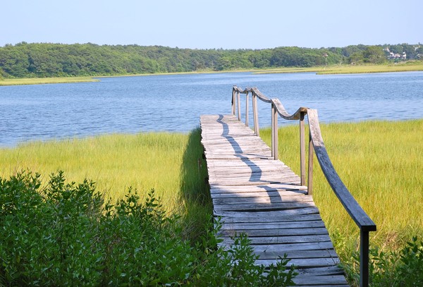 Cape Cod