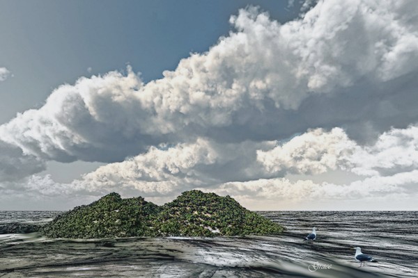 Shoreline of the Islands