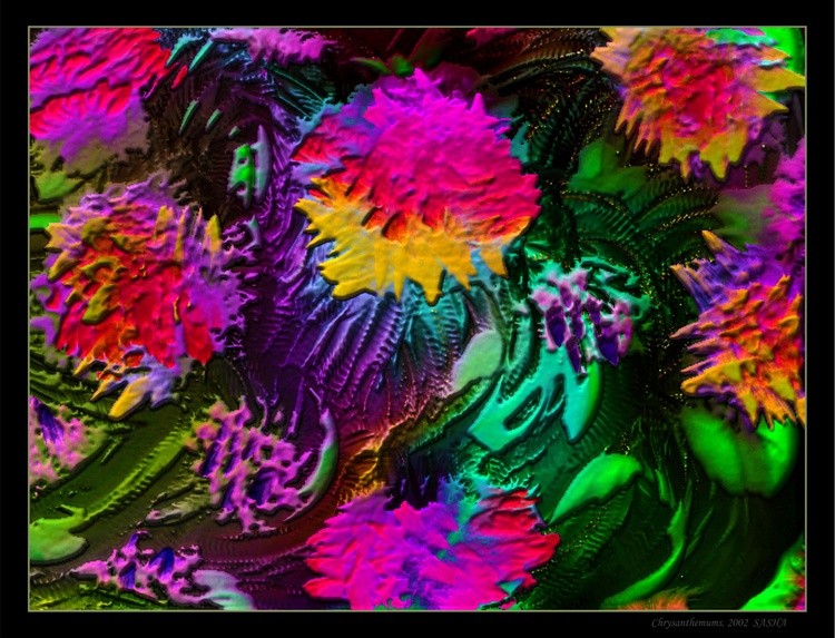 Chrysanthemums