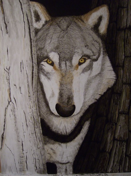 hide and seek