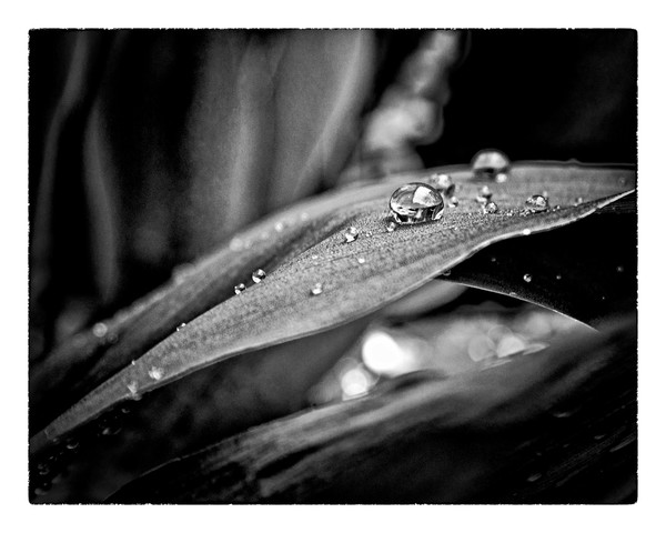 Tiny Worlds 03