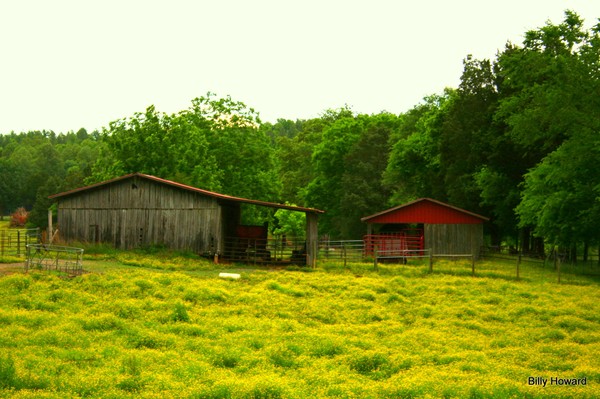 Tennessee Barns