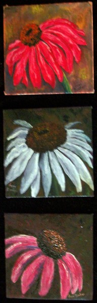 cone flowers