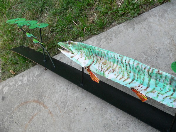 Musky chasing wogs