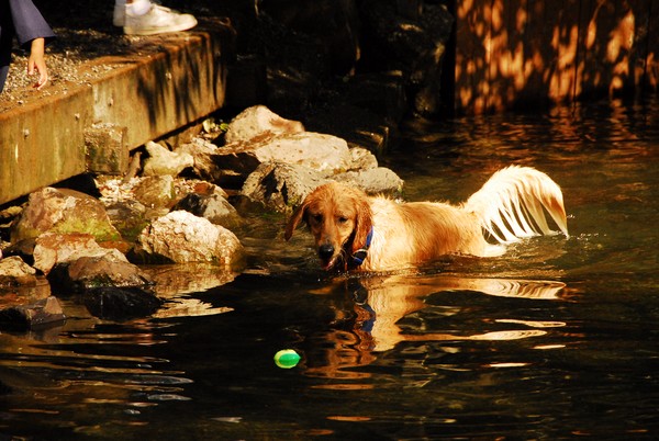 My Ball!