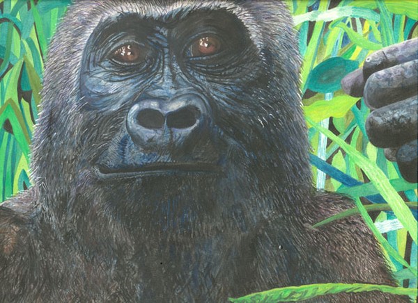 Lady Gorilla
