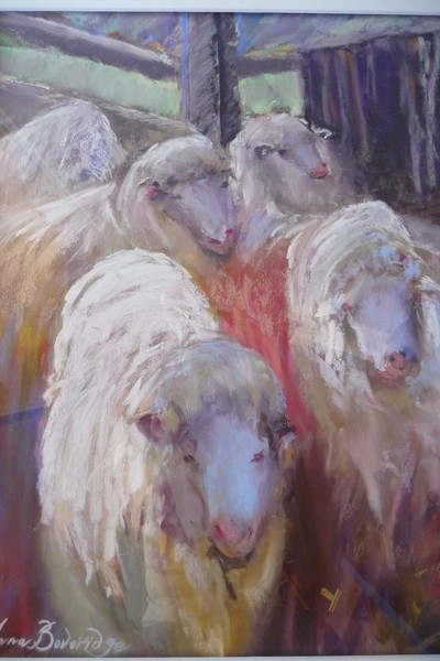 Bo Peep Sheep