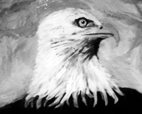 Black and white eagle