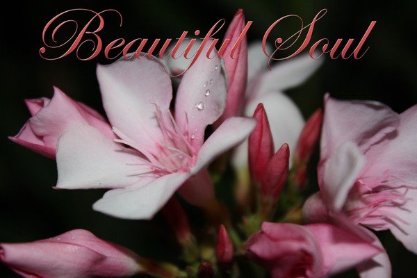 Beautiful Soul