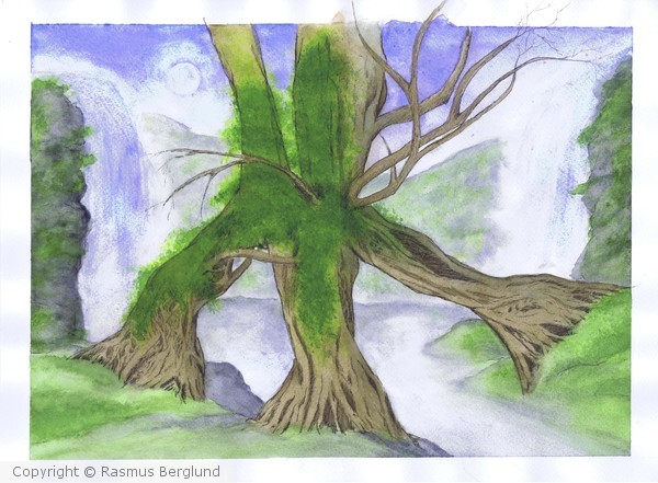 Tree and waterfalls