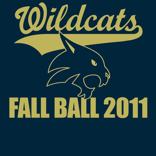 wildcats fallball
