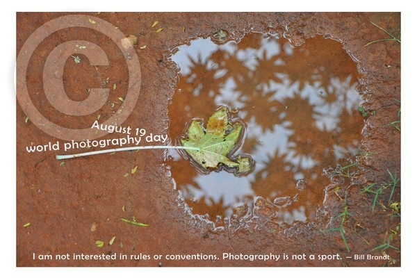 Happy World Photography Day....