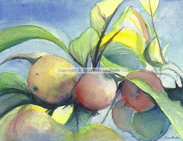 Early Apples
