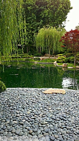 Japanese Gardens, CSU Long Beach