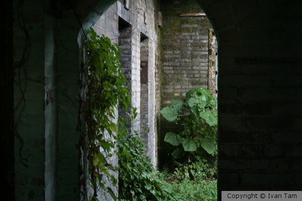 IMG 7548